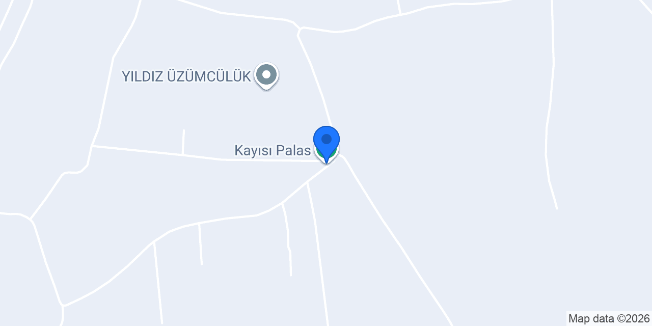 Kayısı Palas konumu