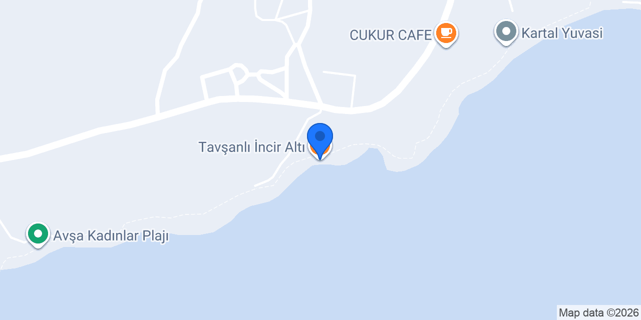 Tavşanlı İncir Altı konumu