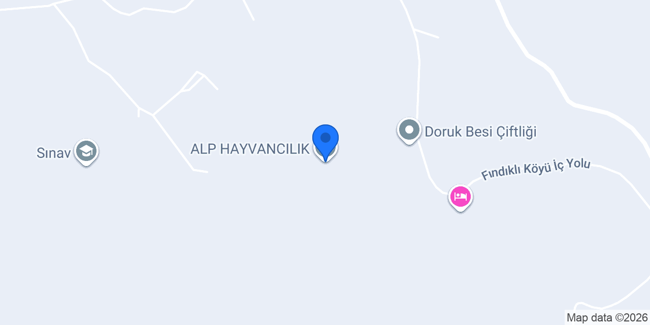 ALP HAYVANCILIK konumu