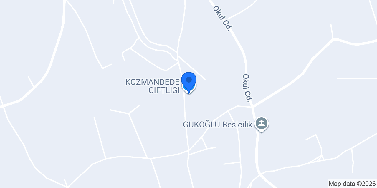 KOZMANDEDE CIFTLIGI konumu