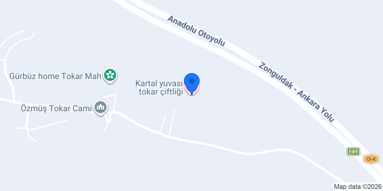 Kartal yuvası tokar çiftliği konumu