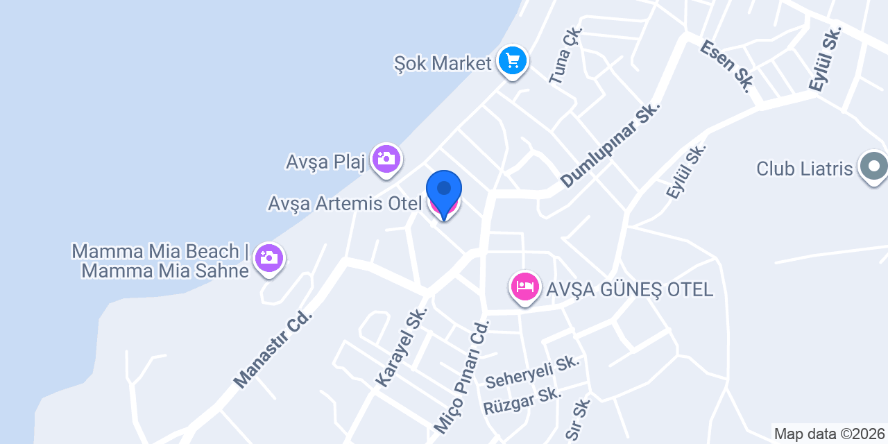 Avşa Artemis Otel konumu