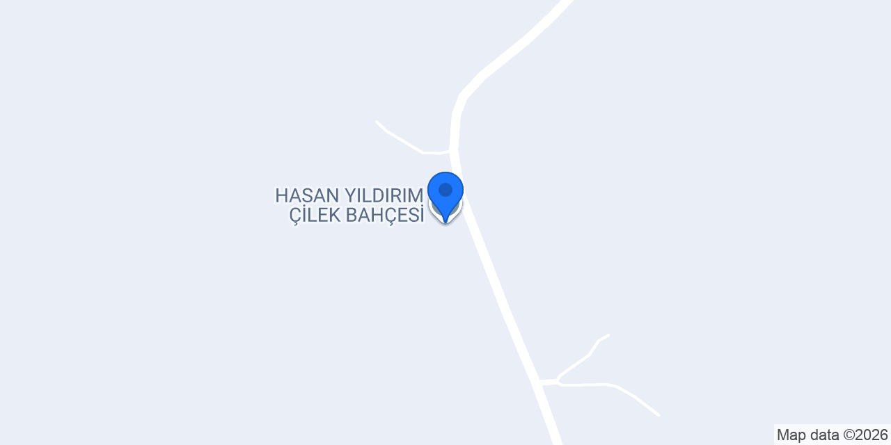 HASAN YILDIRIM ÇİLEK BAHÇESİ konumu