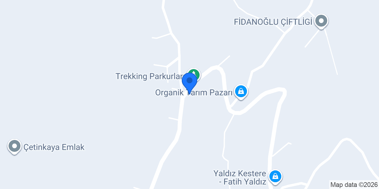 Mecidiye Köyü Muhtarlığı konumu
