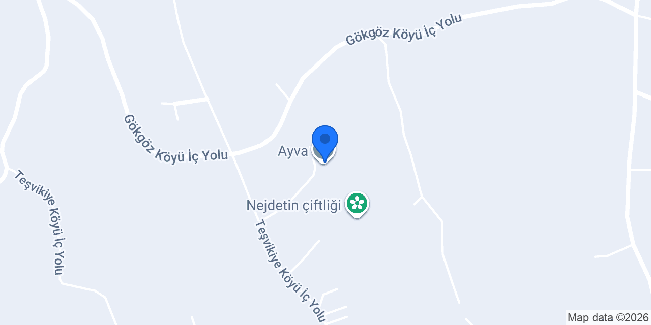 Ayva konumu