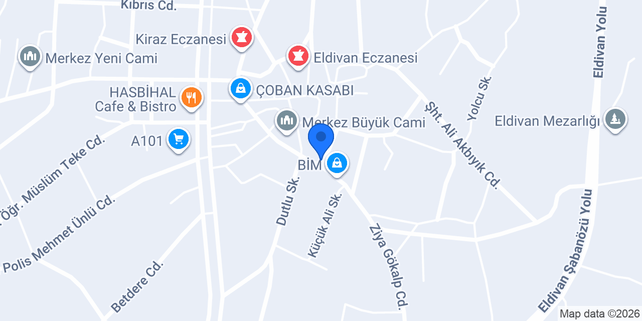 Eldivan Sağlık Meslek Lisesi konumu