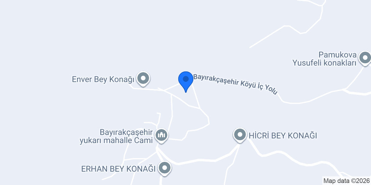 Zengin Group konumu