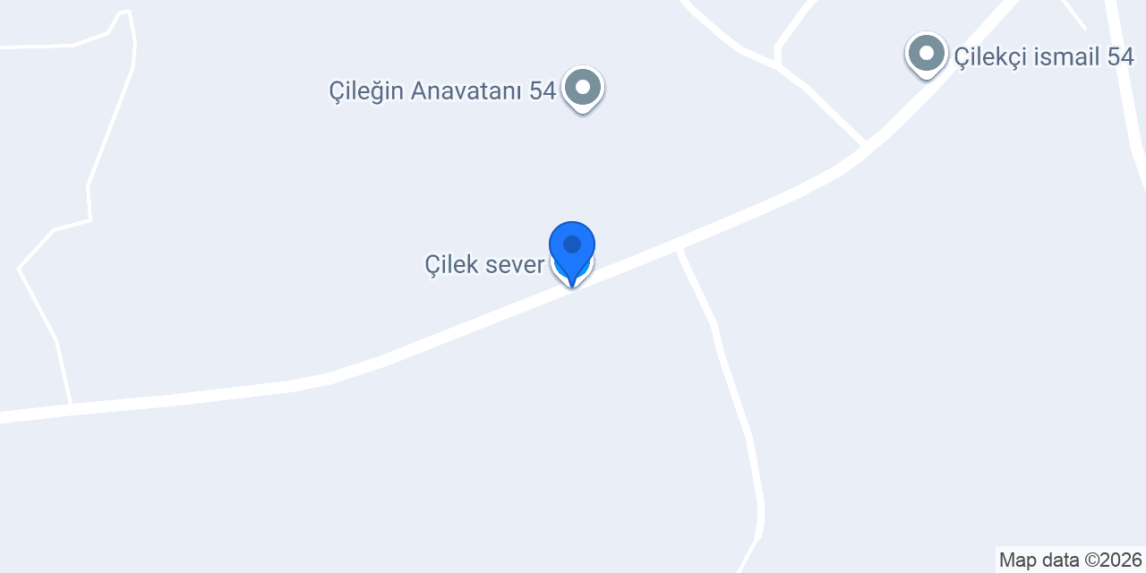 Çilek sever konumu