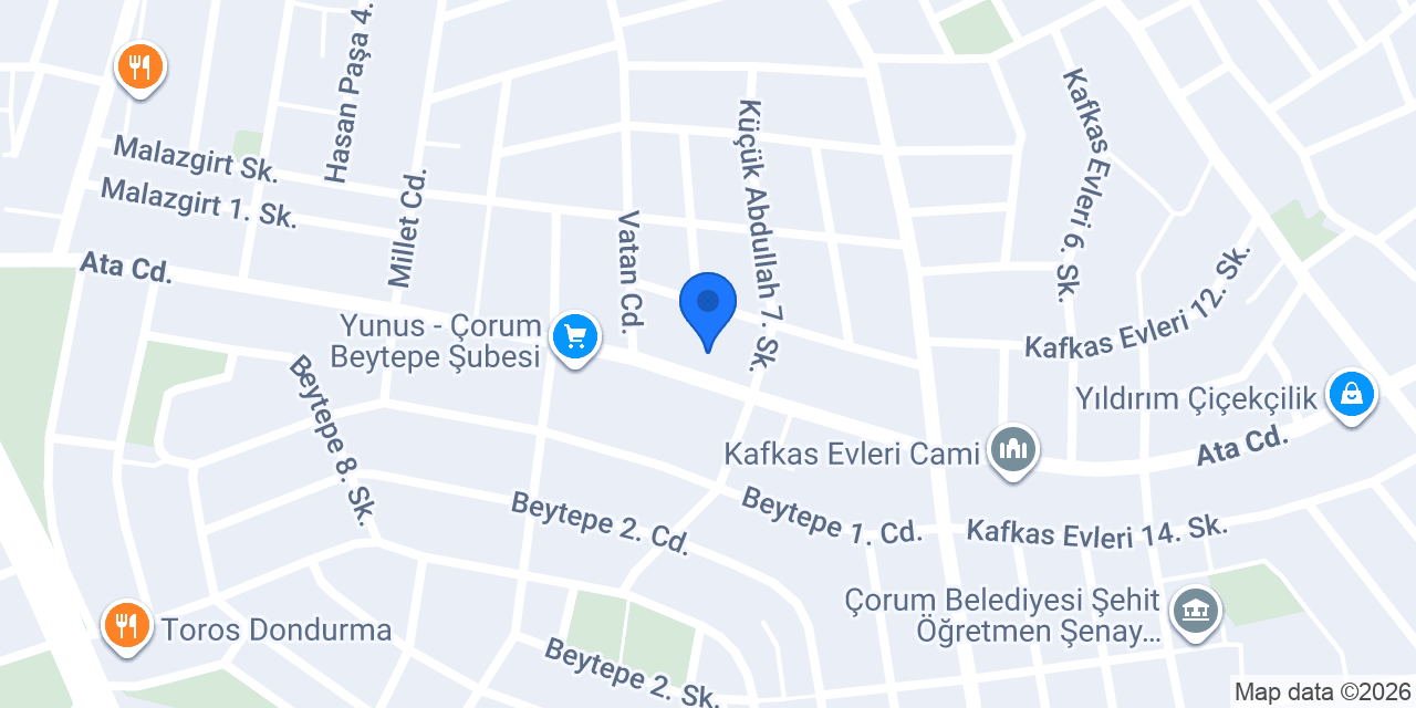 Yeni Nesil Elektrik konumu