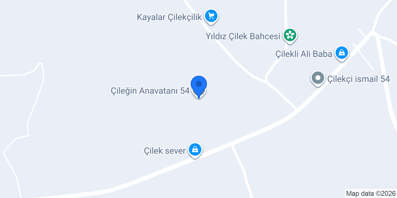 Çileğin Anavatanı 54 konumu