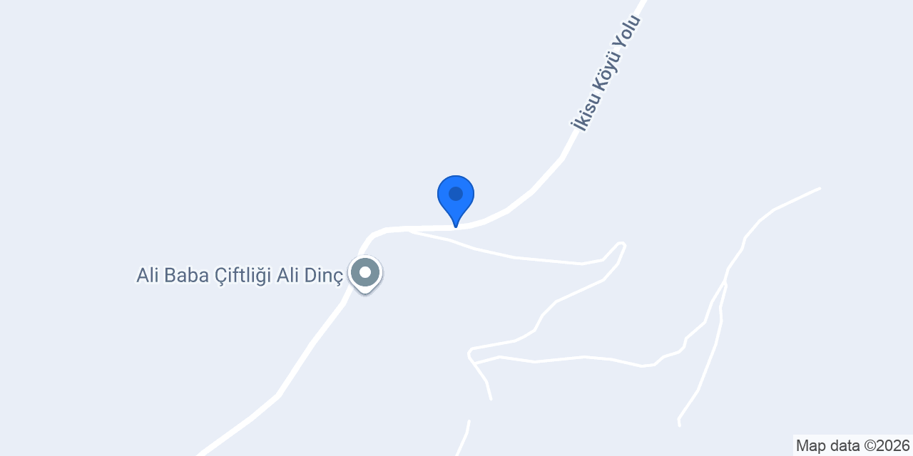 ŞİMŞEK AUTO konumu
