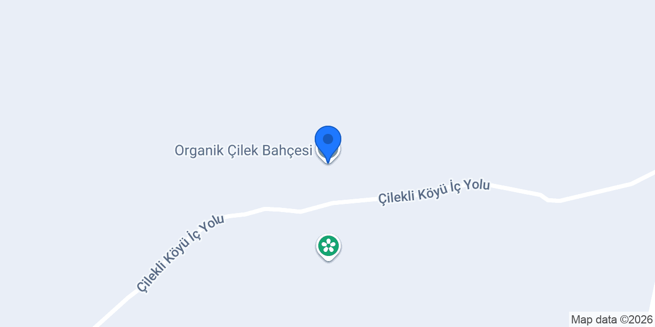 Organik Çilek Bahçesi konumu