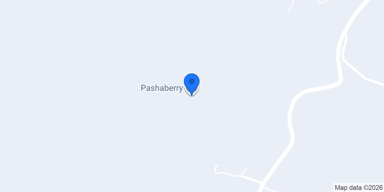 Pashaberry konumu