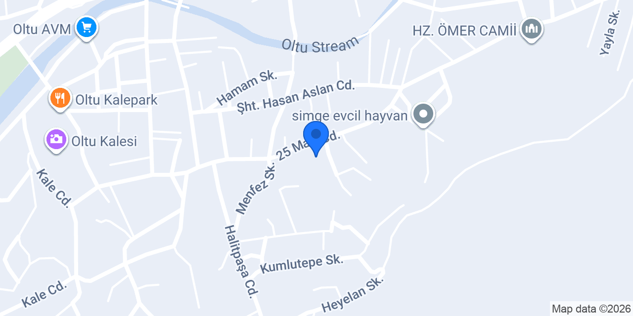 25 Mart İlköğretim Okulu konumu