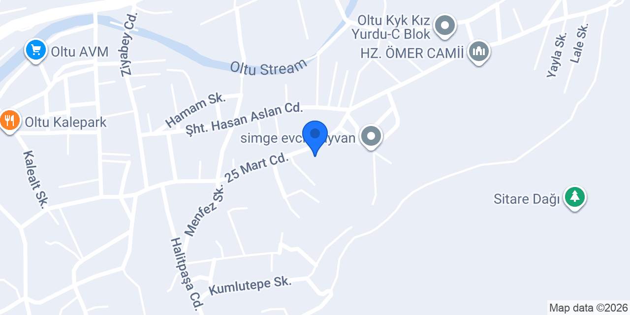 Oltu Kız Anadolu İmam Hatip Lisesi konumu