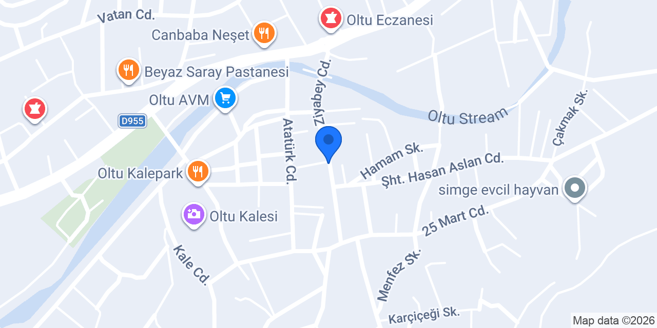 Axa Sigorta konumu