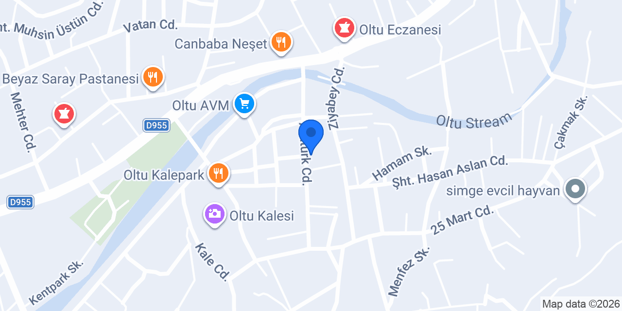 Aydın Group Rent A Car OLTU konumu