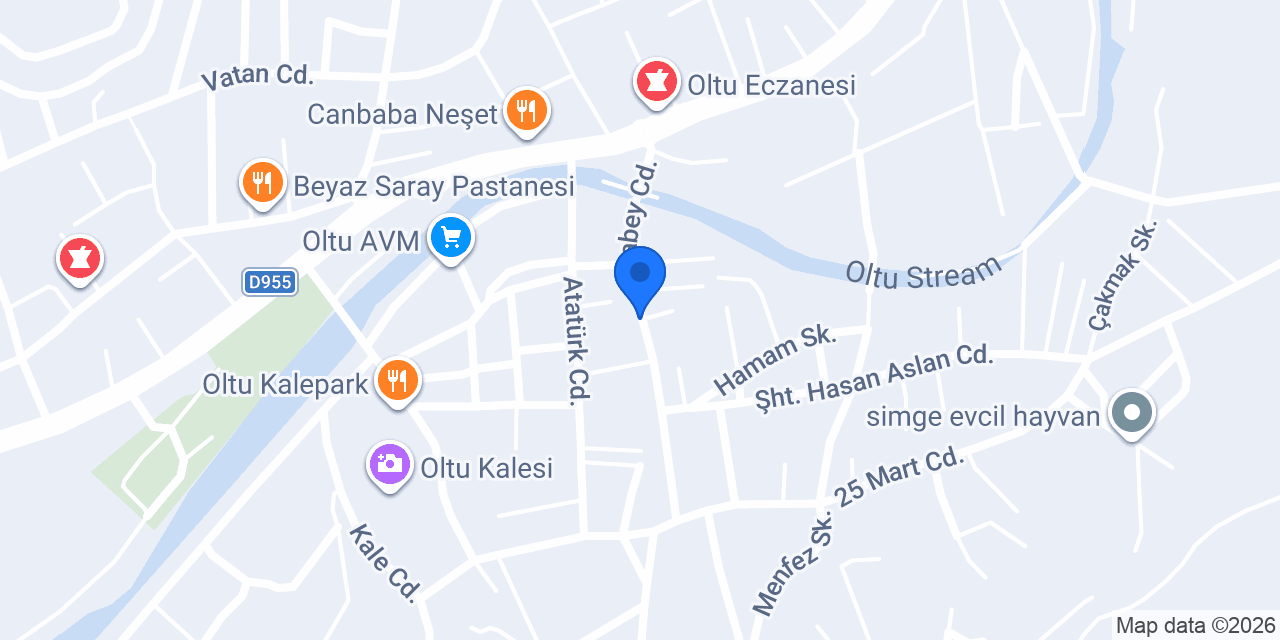 Efe Elektronik Oltu konumu