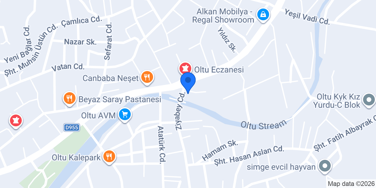 Aras Kargo Oltu Şubesi konumu