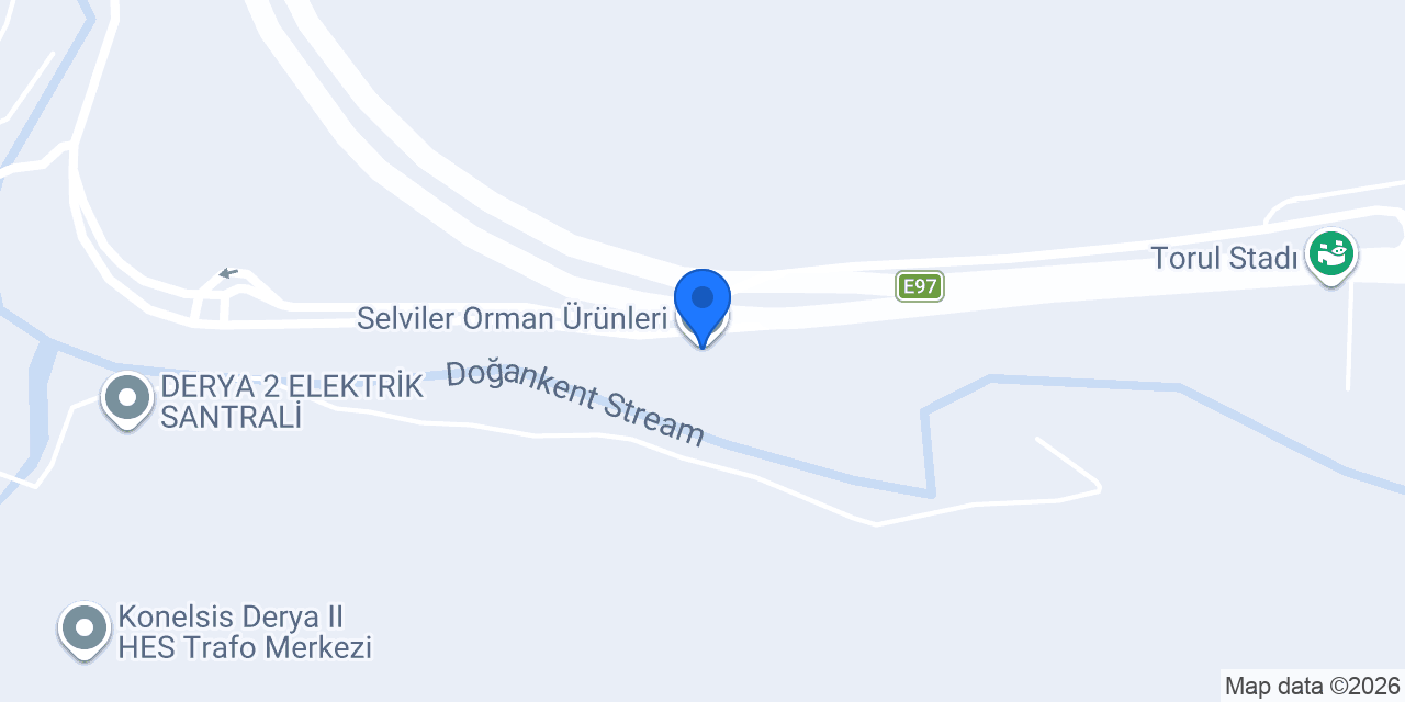 Selviler Orman Ürünleri konumu