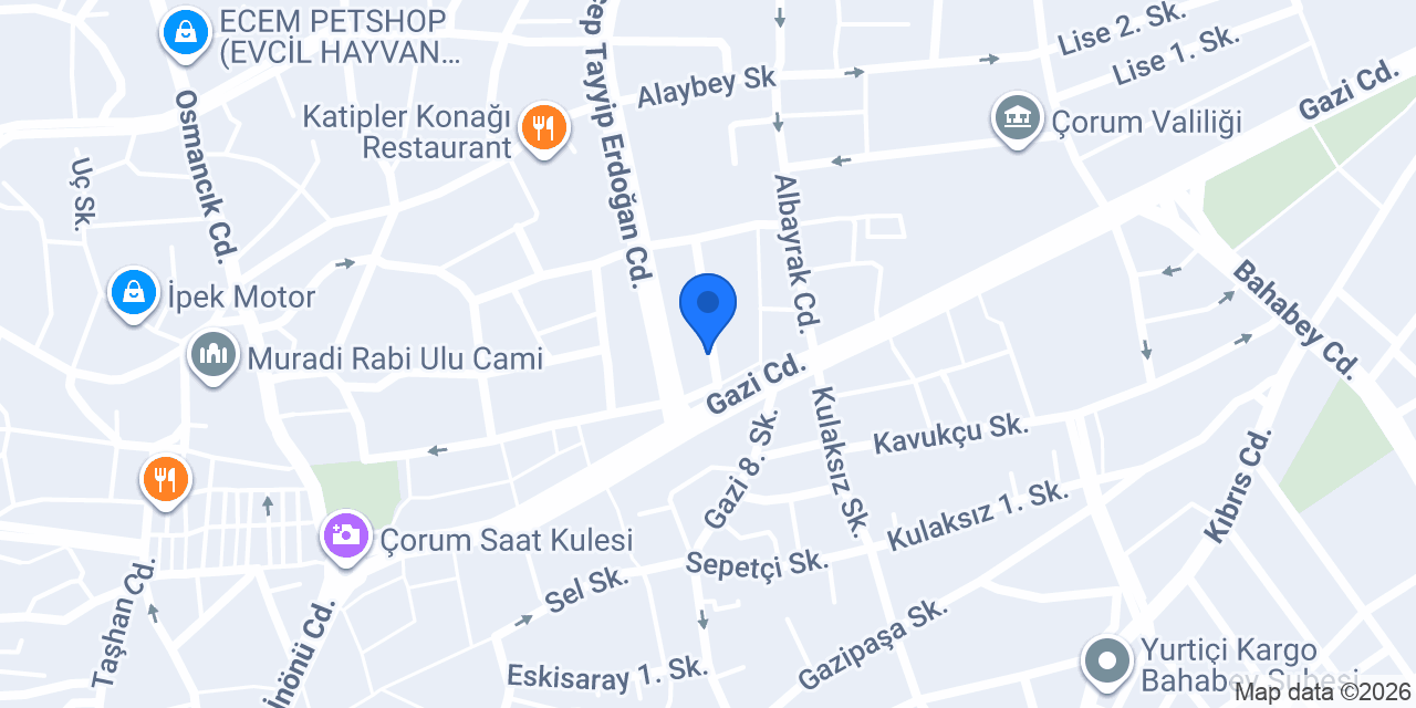 Net İşitme Çorum konumu