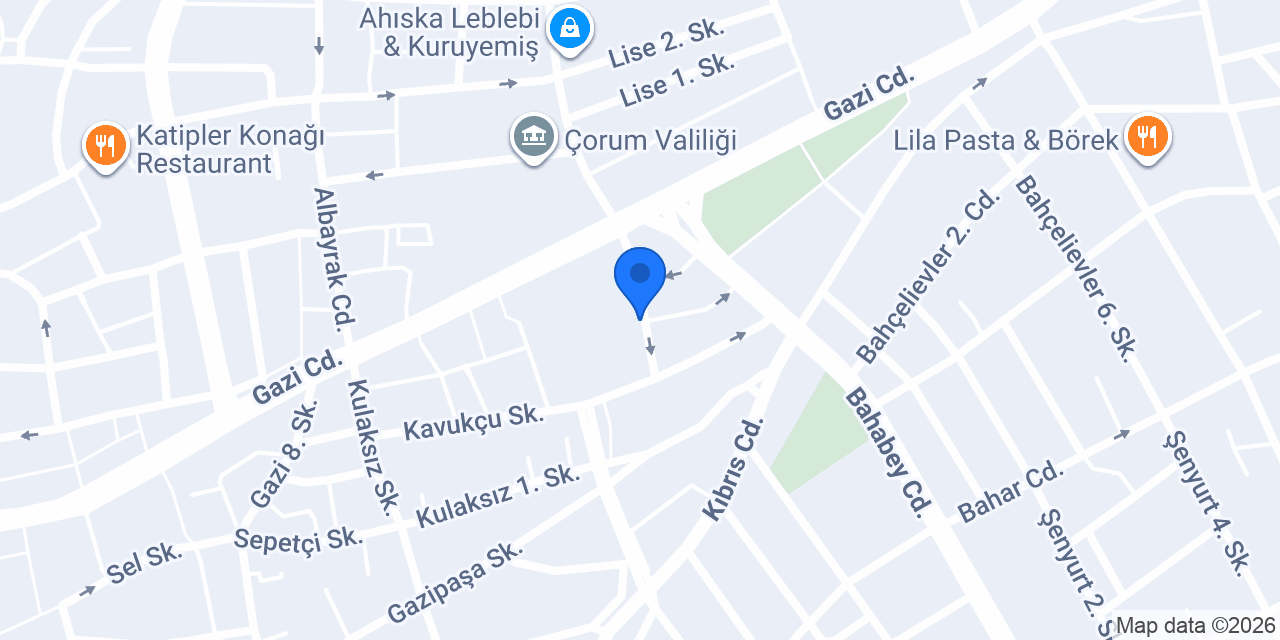 Çizgi Kırtasiye konumu
