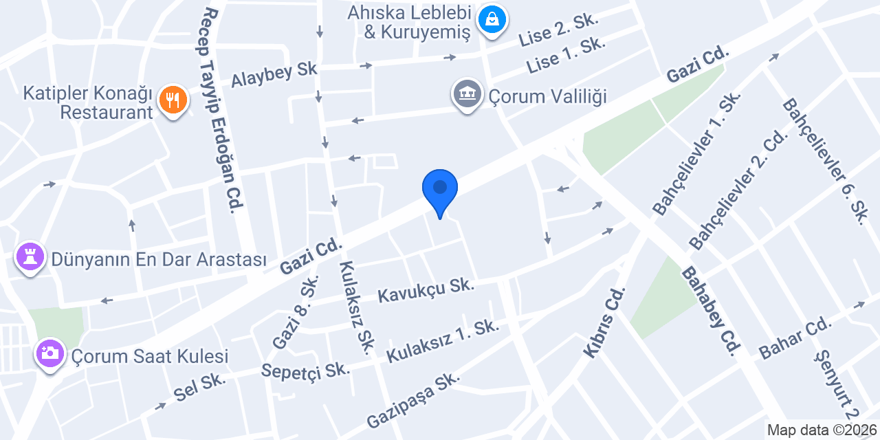 ÖZEL İZLEM OSGB ÇORUM konumu
