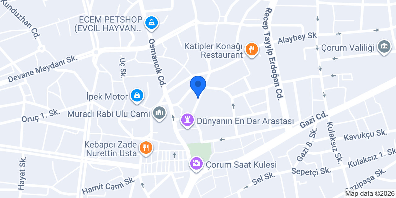 Bezgin Emlak konumu