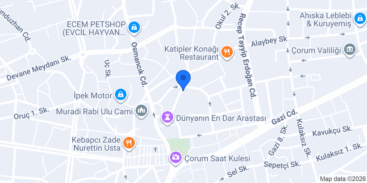naz petshop petland konumu