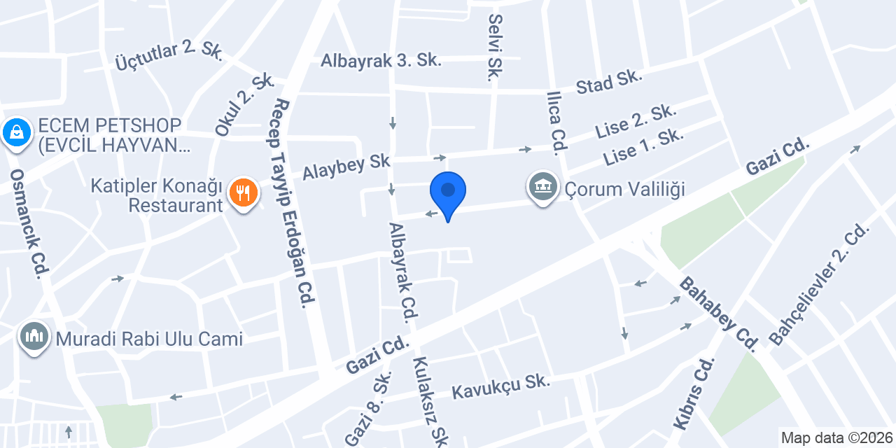 Albayrak İlkokulu konumu