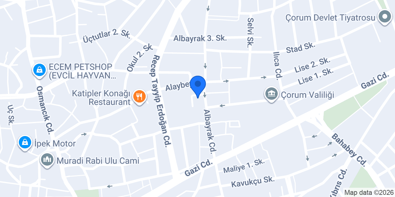 Çorum Kaktüs Çiçekçilik konumu