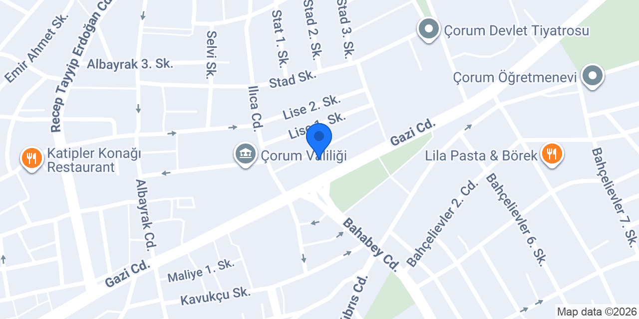 Pasaport Pizza Çorum konumu