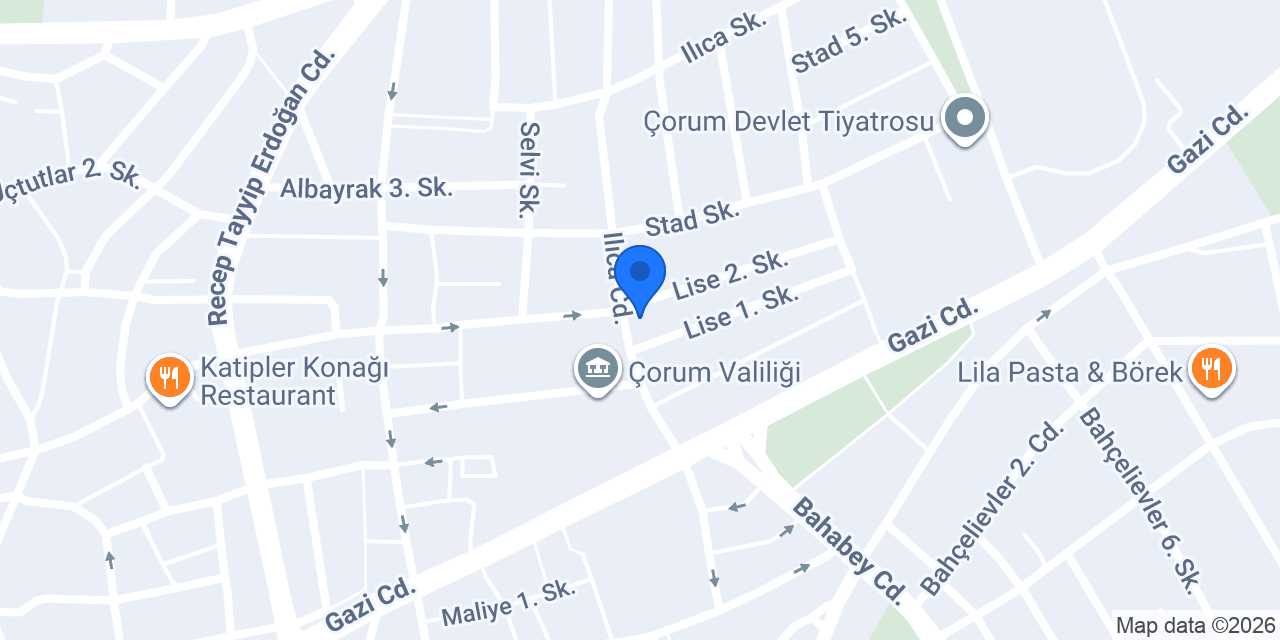 Defne Çiçekçilik konumu