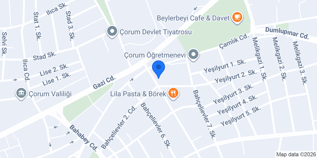 Biz Danışmanlık konumu