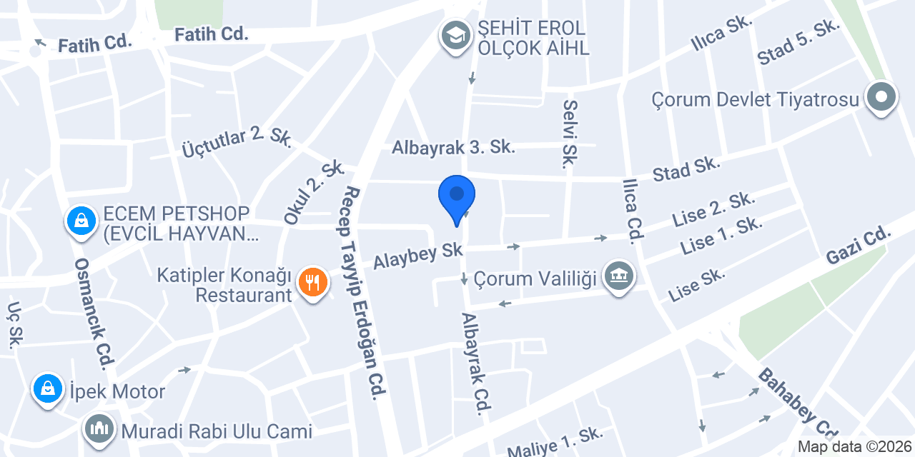 Demer Koleji konumu