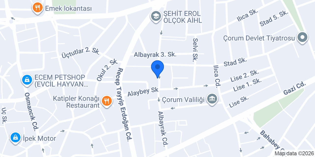 Elit Koleji Ortaokulu Çorum konumu