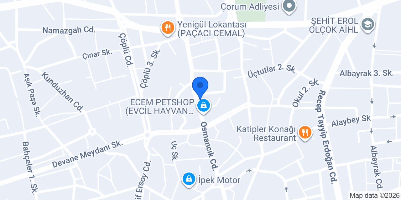 Gürel Anahtar konumu
