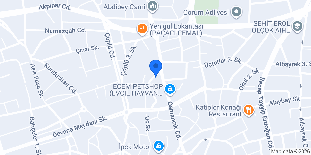 Saray lahmacun Pide Fırını konumu