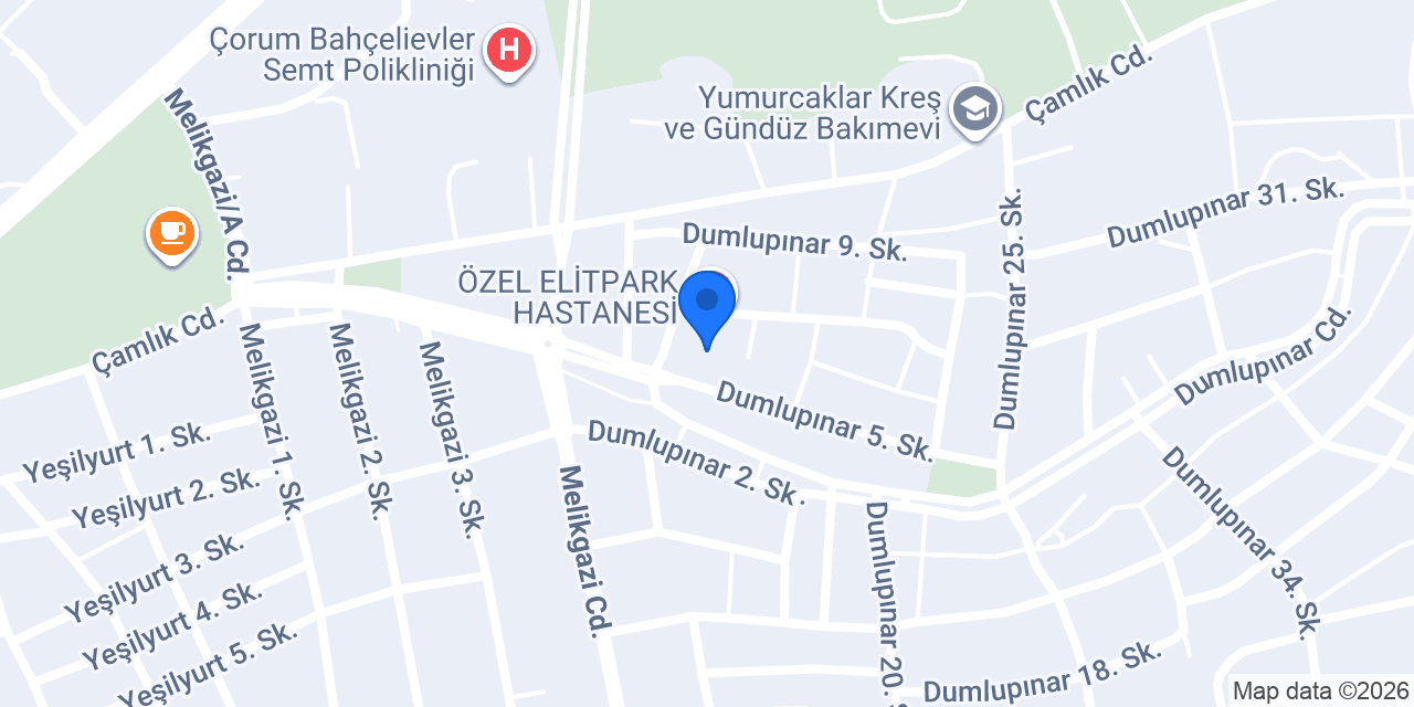 Doç. Dr. Özgür KOÇAK konumu