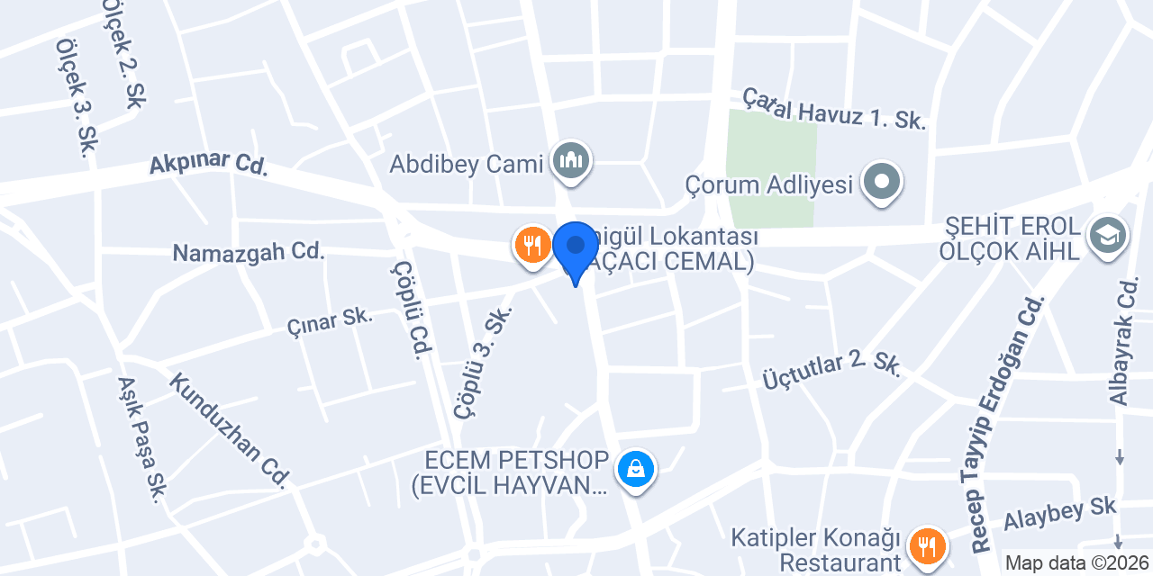 AĞCA KARDEŞLER / FİLLİ BOYA konumu