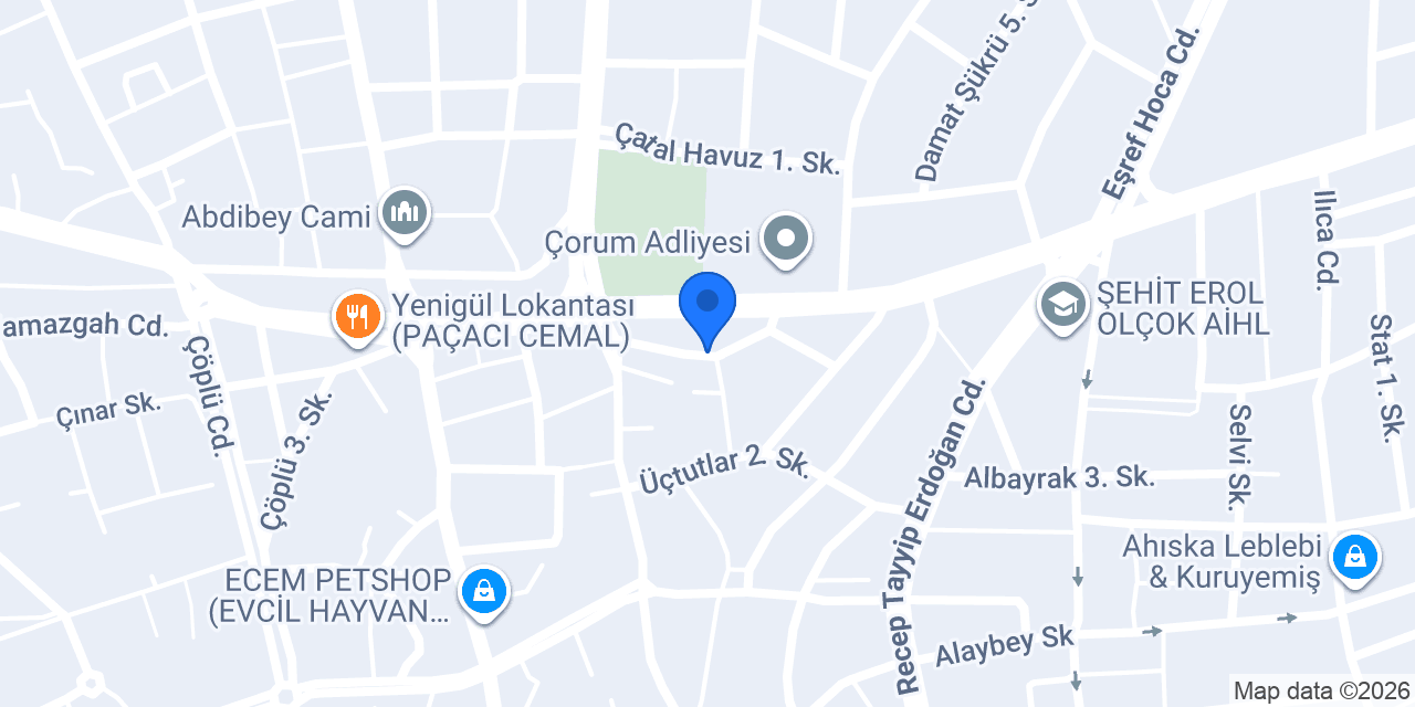 Avukat Bilge Doğan Koçak konumu
