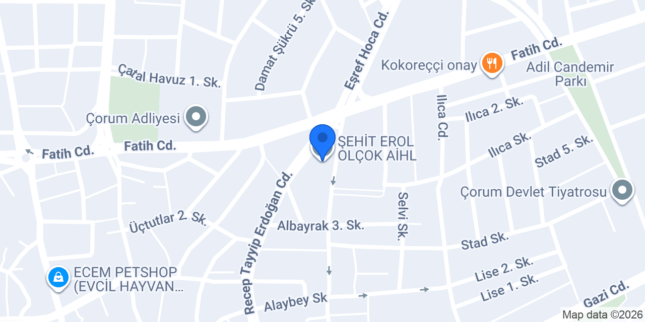 ŞEHİT EROL OLÇOK AİHL konumu
