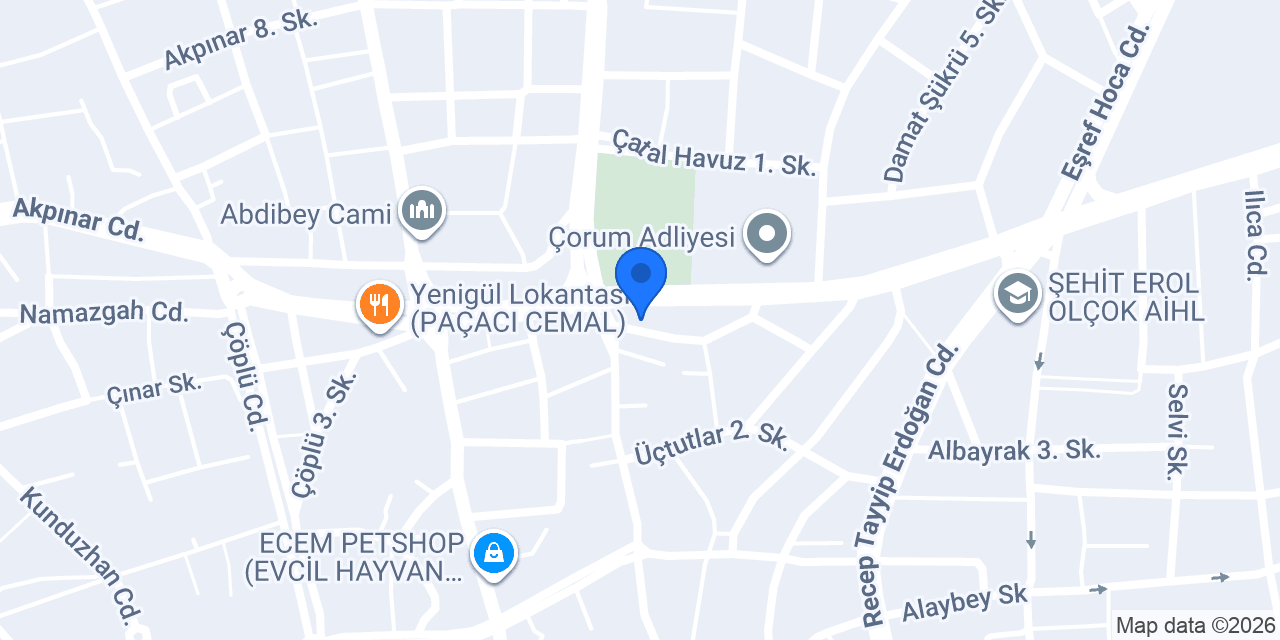 Çözüm elektrik konumu