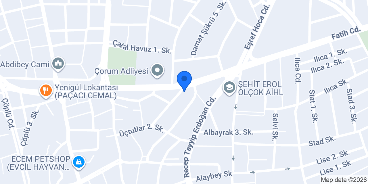 Asil 19 Tur konumu