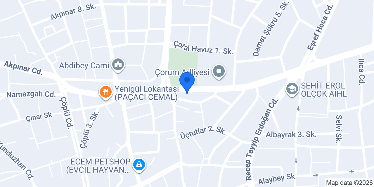 Ses Emlak konumu
