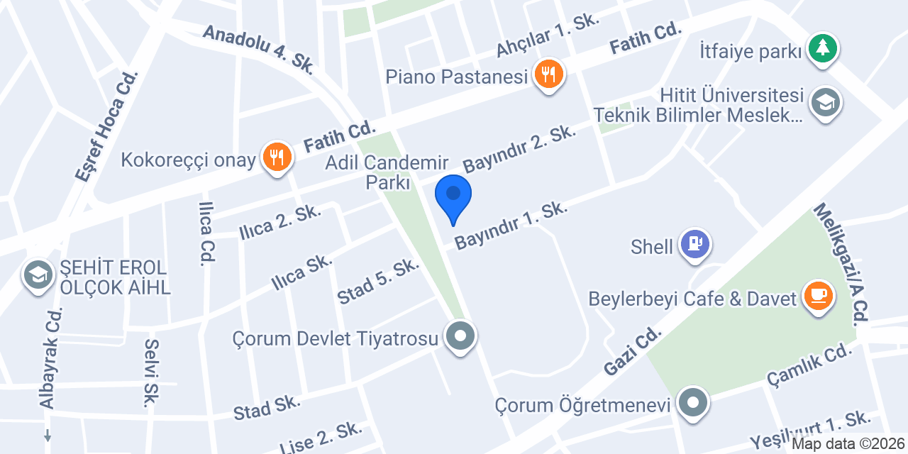 PETLİFE MİNİ VETERİNER KLİNİĞİ konumu