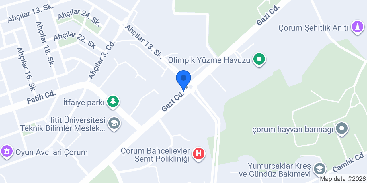 SEDA ÖZDOGAN konumu