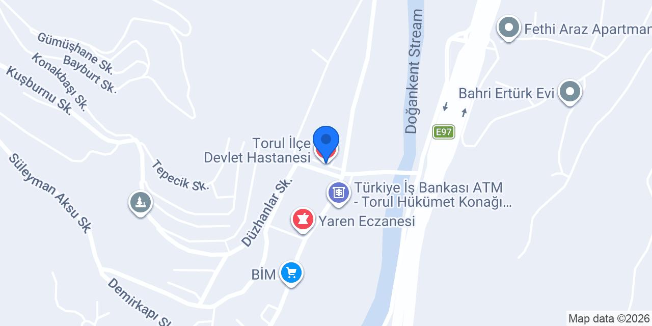 Torul İlçe Devlet Hastanesi konumu