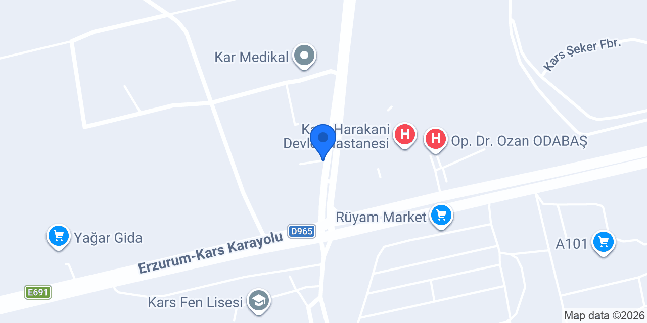 Yalçın Eczanesi Kars konumu