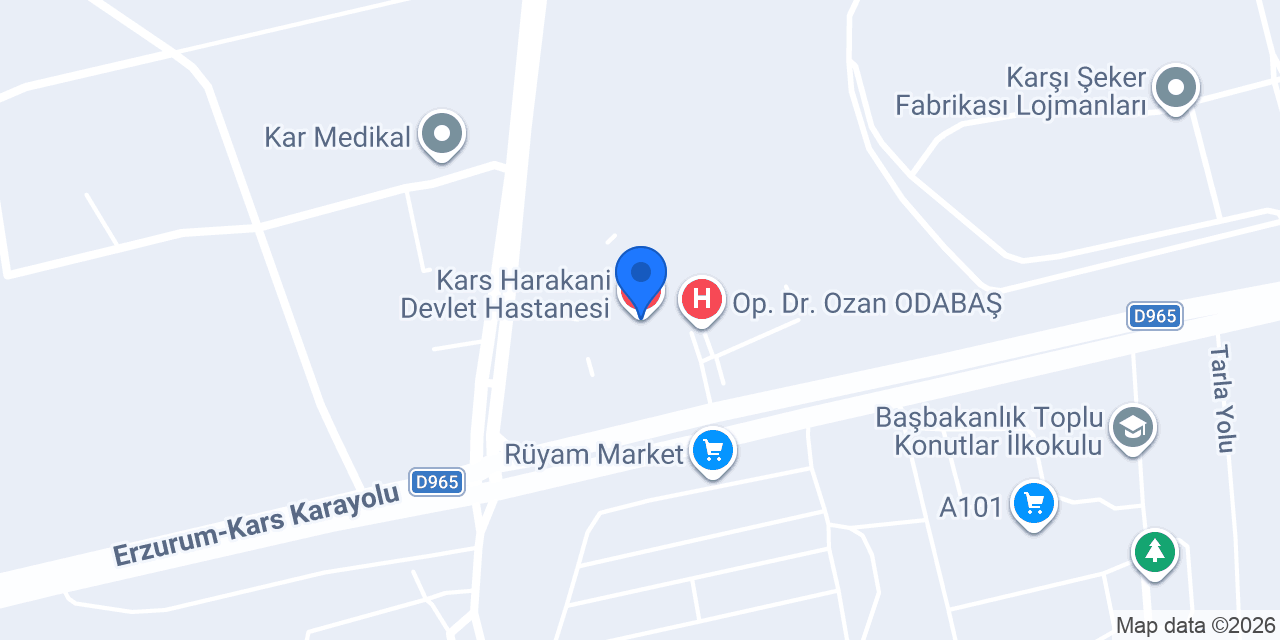 Kars Harakani Devlet Hastanesi konumu